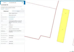 Аукцион на право заключения договора аренды земельного участка, находящегося в государственной собственности до разграничения (Российская Федерация, Нижегородская область, Спасский муниципальный округ, п. Красные Мары, кадастровый № 52:29:0010007:190 )'